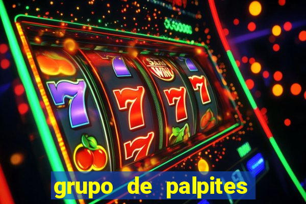 grupo de palpites de futebol whatsapp